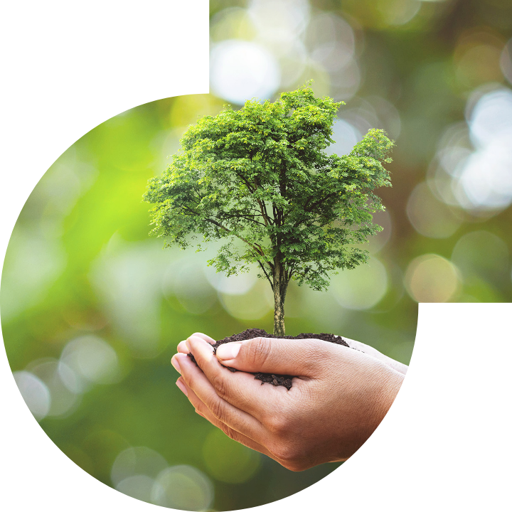 關懷人類、文化、環境與社會